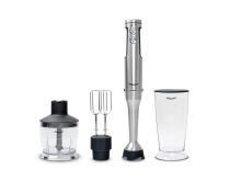 REMOSKA Tyčový mixér CARINO, R309001