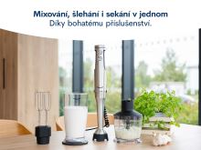 REMOSKA Tyčový mixér CARINO, R309001_0 (1)