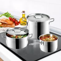 ORION Kastrol ANETT o 30 cm, 9,5 l, výška 14 cm, nerezová poklice_5 (4)