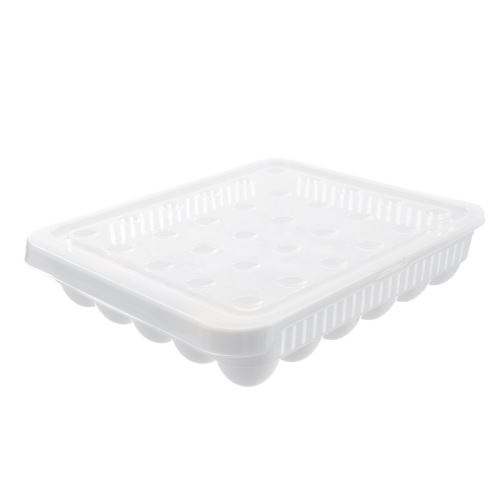 HOBBY LIFE Box na vajíčka na 30 ks, plast
